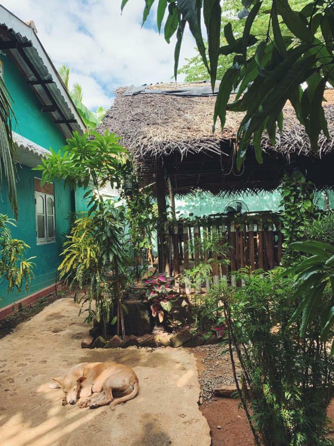 Alass Ga For Pets Lovers Trincomalee Exteriör bild